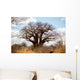 Baobab Tree Wall Mural