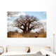 Baobab Tree Wall Mural