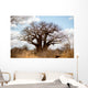 Baobab Tree Wall Mural
