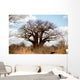 Baobab Tree Wall Mural