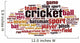 Cricket word cloud Wall Decal
