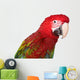 Green Wing Macaw Wall Decal