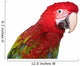 Green Wing Macaw Wall Decal