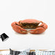 crab isolated on white background Wall Decal
