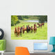 horse herd Wall Mural