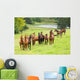 horse herd Wall Mural