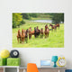 horse herd Wall Mural