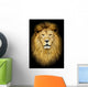 Portrait of huge beautiful male African lion against black backg Wall Mural