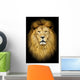 Portrait of huge beautiful male African lion against black backg Wall Mural