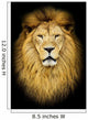 Portrait of huge beautiful male African lion against black backg Wall Mural