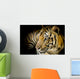 Close up tiger Wall Mural