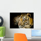 Close up tiger Wall Mural