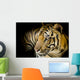 Close up tiger Wall Mural