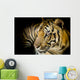 Close up tiger Wall Mural