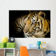 Close up tiger Wall Mural