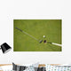 Golf club and golf ball on the putting green beside flag Wall Mural