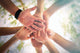 Hands Of Young People Close Up On Sunny Nature Background Wall Decal