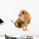 The old lion. Alpha male. isolated Wall Decal
