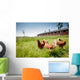 chicken on traditional free range poultry Wall Mural