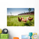 chicken on traditional free range poultry Wall Mural