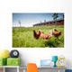 chicken on traditional free range poultry Wall Mural
