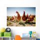 chicken on traditional free range poultry Wall Mural