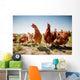 chicken on traditional free range poultry Wall Mural
