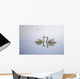Graceful Swans Wall Mural