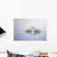 Graceful Swans Wall Mural