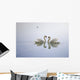 Graceful Swans Wall Mural