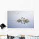 Graceful Swans Wall Mural