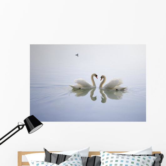 Graceful Swans Wall Mural