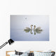 Graceful Swans Wall Mural