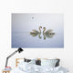 Graceful Swans Wall Mural