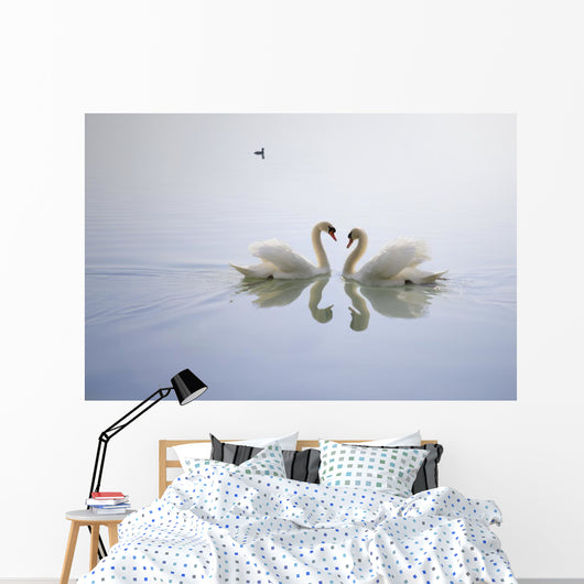 Graceful Swans Wall Mural