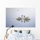 Graceful Swans Wall Mural