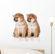 shiba inu puppies Wall Decal