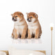 shiba inu puppies Wall Decal