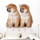 shiba inu puppies Wall Decal