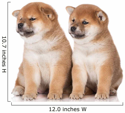 shiba inu puppies Wall Decal