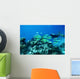 Scuba diver underwater Wall Mural