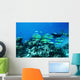 Scuba diver underwater Wall Mural