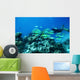 Scuba diver underwater Wall Mural