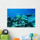 Scuba diver underwater Wall Mural