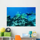 Scuba diver underwater Wall Mural