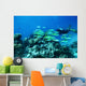 Scuba diver underwater Wall Mural