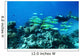 Scuba diver underwater Wall Mural