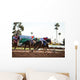 Horse Racing Wall Mural