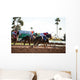 Horse Racing Wall Mural