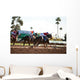 Horse Racing Wall Mural
